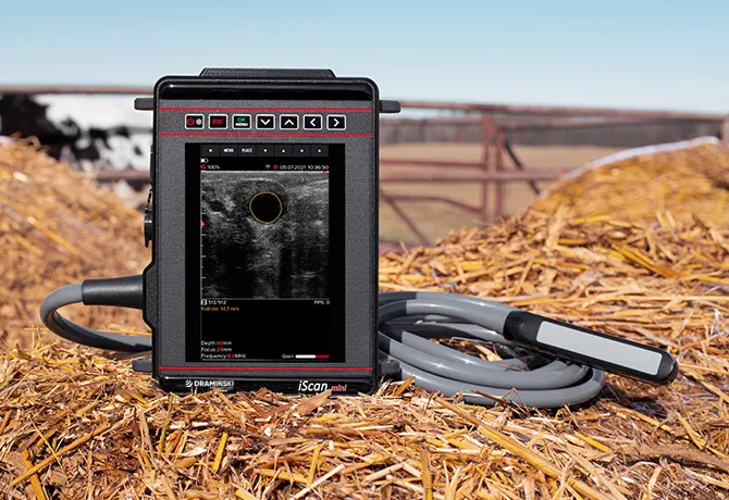 Ecógrafo iScan Mini Dramiński – demostración de uso 1