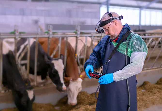 Ecógrafo iScan Mini Dramiński – uso de las gafas mini