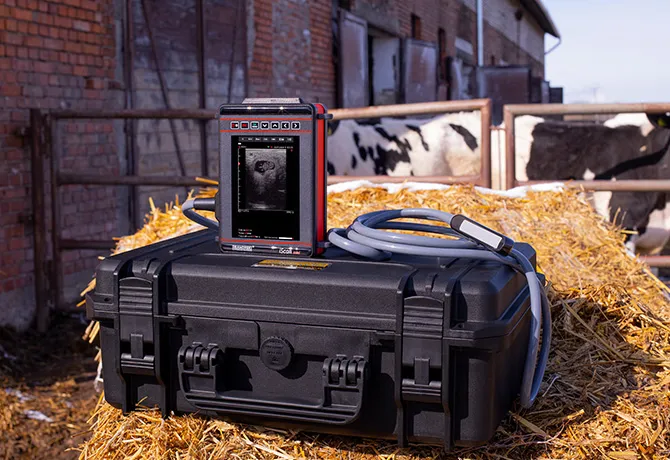 Ecógrafo iScan Mini Dramiński – sonda lineal rectal