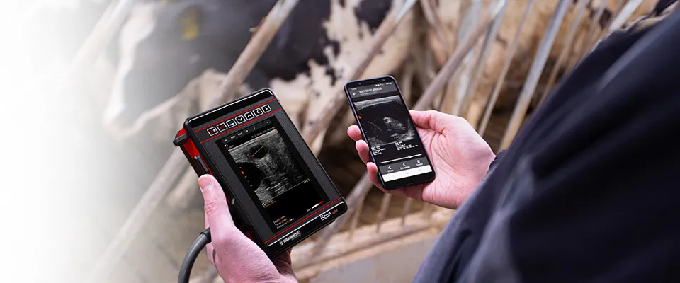 Ecógrafo veterinario iScan Mini Dramiński – vacas, gráfico principal