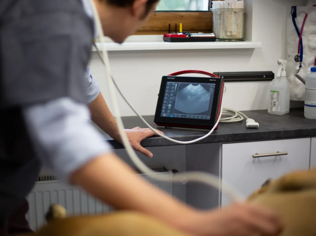 4VetSlim Dramiński – utilizado en clínica veterinaria