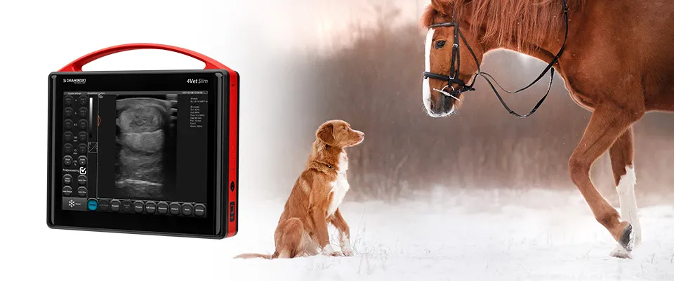 Ecógrafo 4VetSlim Dramiński – vista detalle 03