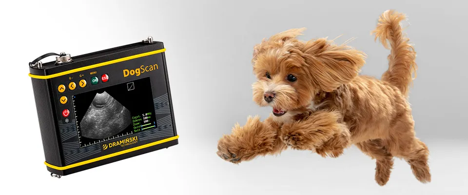 DogScan Dramiński – ecógrafo veterinario para criadores de perros, banner