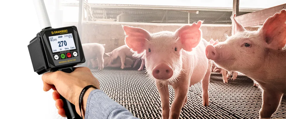 Detector de celos EDP para cerdas – imagen principal