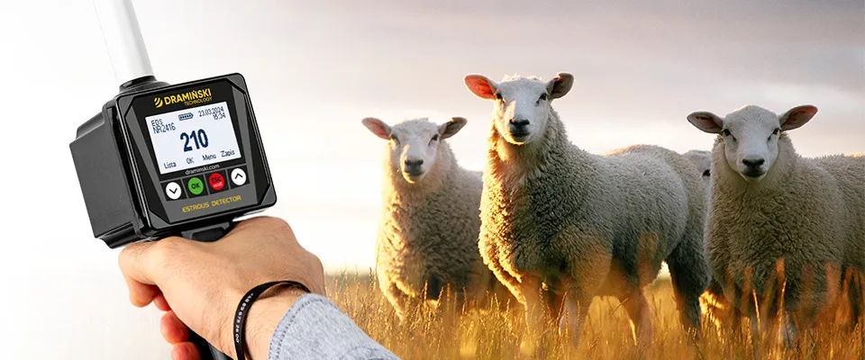 Detector de celos EDS2 para ovejas y cabras – imagen principal