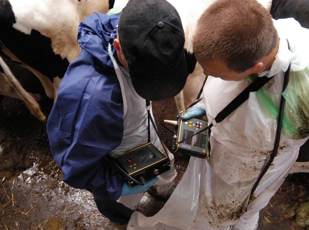 iScan Dramiński – ecógrafo veterinario en uso