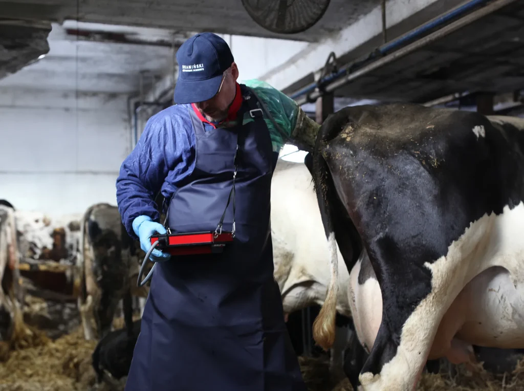 Diagnóstico de ovarios en vacas y yeguas con ecógrafo iScan2