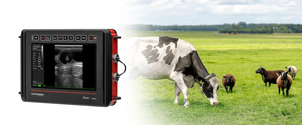 Ecógrafo veterinario iScan2 Multi Dramiński – vista 02