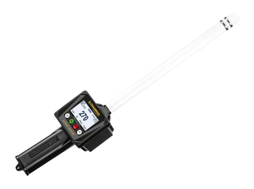 Método eficaz para detectar la ovulación en las cerdas