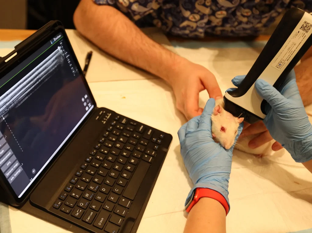 Aplicación veterinaria ASUS para imagen ecográfica inalámbrica