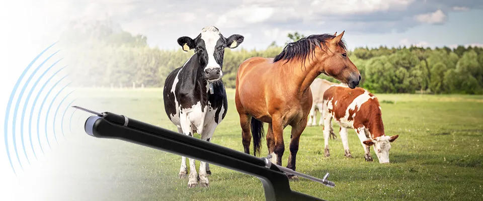 Gráfico principal – sistema OPU Dramiński