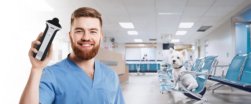 Sondas de ultrasonido veterinarias inalámbricas ASUS Dramiński – vista principal