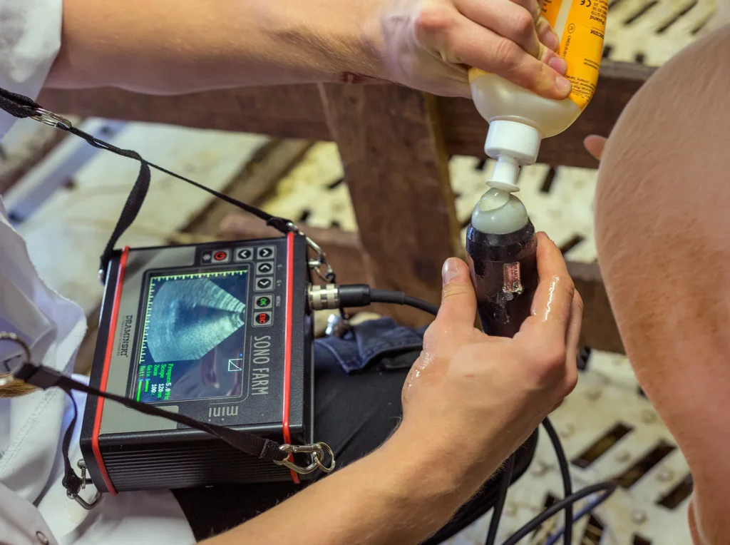 Ultrasonidos Sonofarm Mini para inseminadores, cría de cerdos