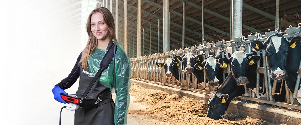 Ecógrafo veterinario iScan3 Dramiński – gráfico principal