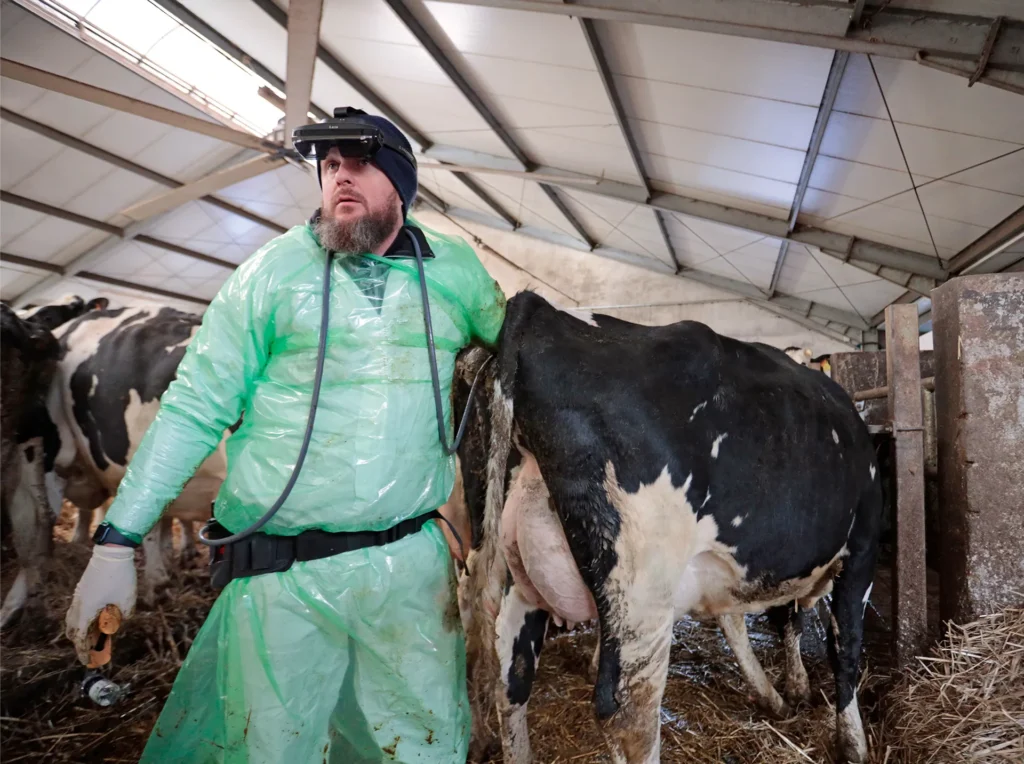 iLens Dramiński – gafas inalámbricas para diagnóstico ecográfico de animales