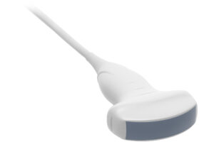 Diagnostyka ciąży u owiec i kóz. Jama brzuszna i klatka piersiowa u bydła i koni. Okolica pępkowa u cieląt.